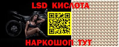 PSILOCYBIN Краснознаменск